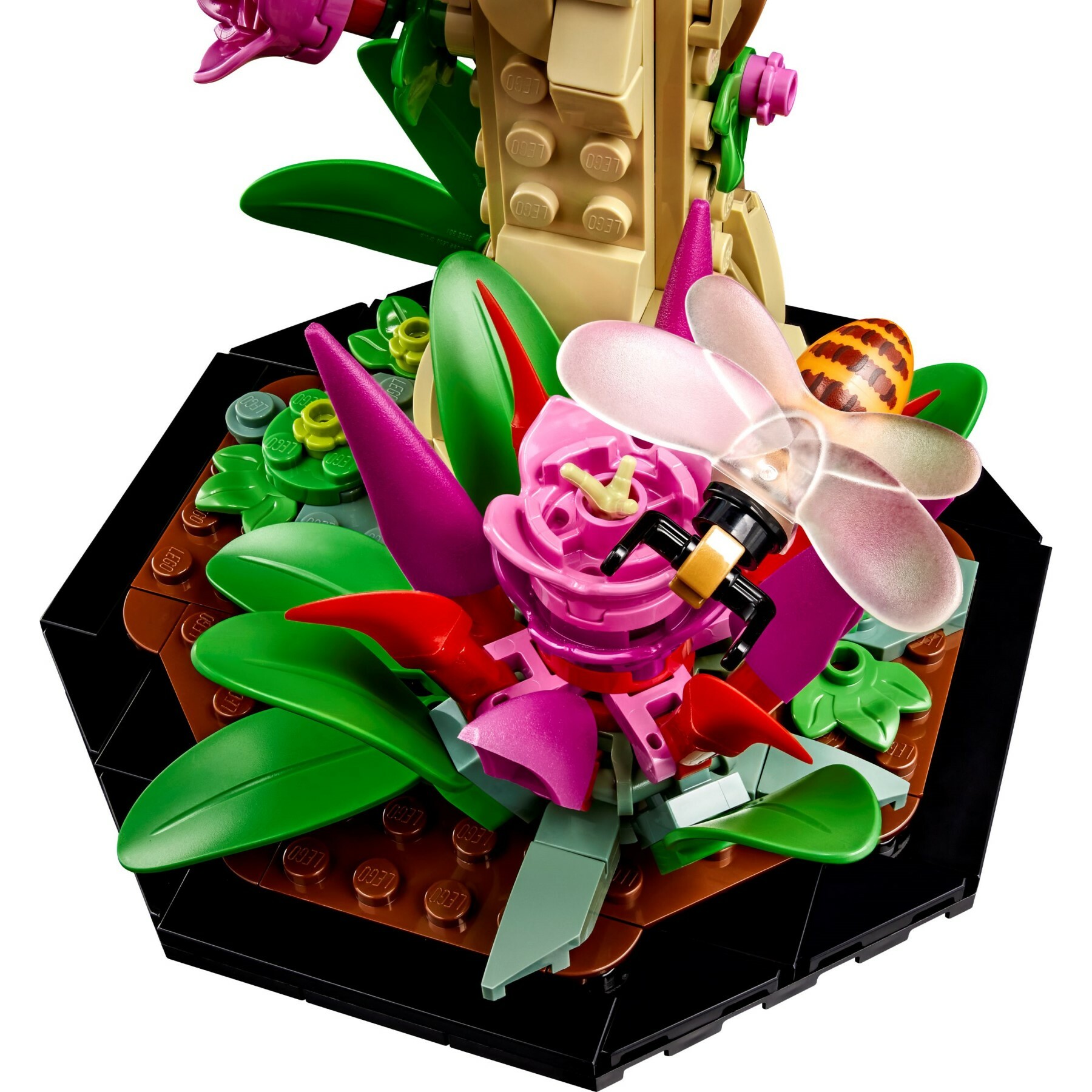 美品 兜 棗 順慶作 共箱 穂高隆児 黒梅花皮茶入 HDKTI026 – 白白庵（PAKUPAKUAN）