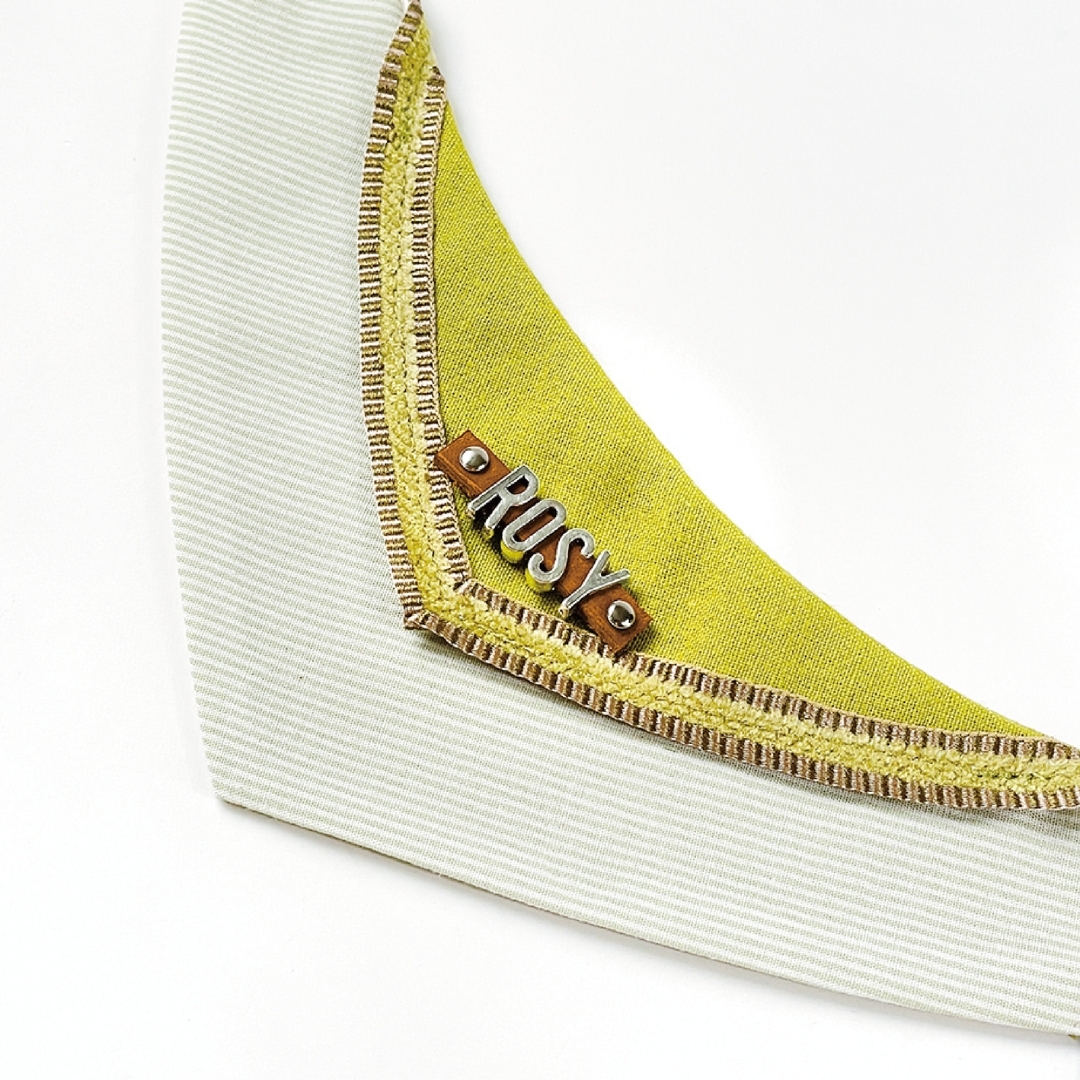 客製名牌 - 銀色字母 / 放中間｜請於下頁「訂單備註」填寫毛孩英文名