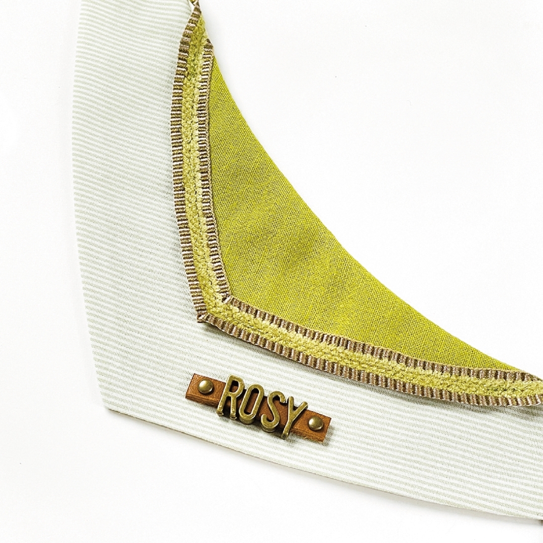 客製名牌 - 復古金字母 / 放右側｜請於下頁「訂單備註」填寫毛孩英文名