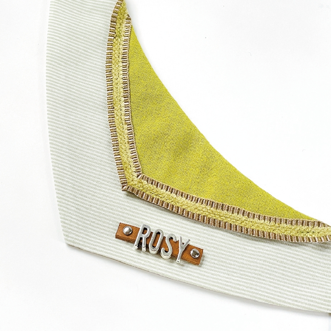 客製名牌 - 銀色字母 / 放右側｜請於下頁「訂單備註」填寫毛孩英文名