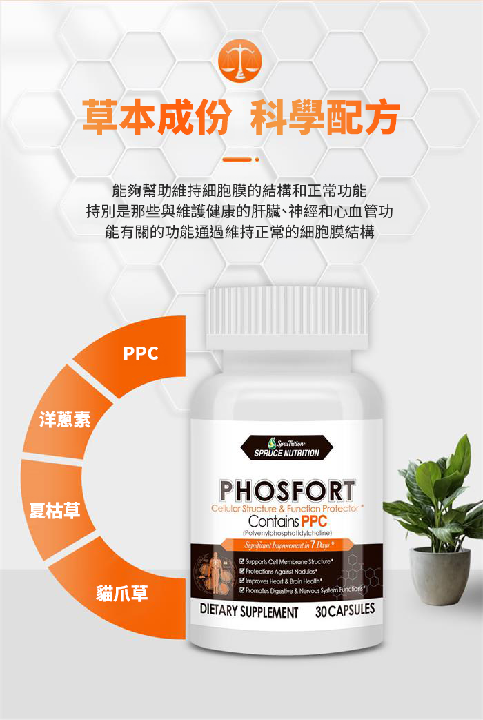 【 Spruce Nutrition 】新一代 小分子 PPC 結節通 四重配方｜PHOSFORT Contains PPC｜30 粒裝（美國原裝行貨）
