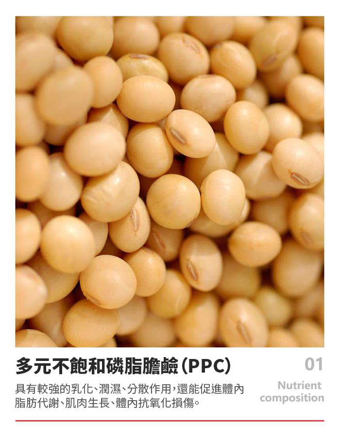 【 Spruce Nutrition 】新一代 小分子 PPC 結節通 四重配方｜PHOSFORT Contains PPC｜30 粒裝（美國原裝行貨）