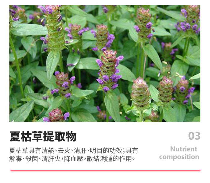 【 Spruce Nutrition 】新一代 小分子 PPC 結節通 四重配方｜PHOSFORT Contains PPC｜30 粒裝（美國原裝行貨）