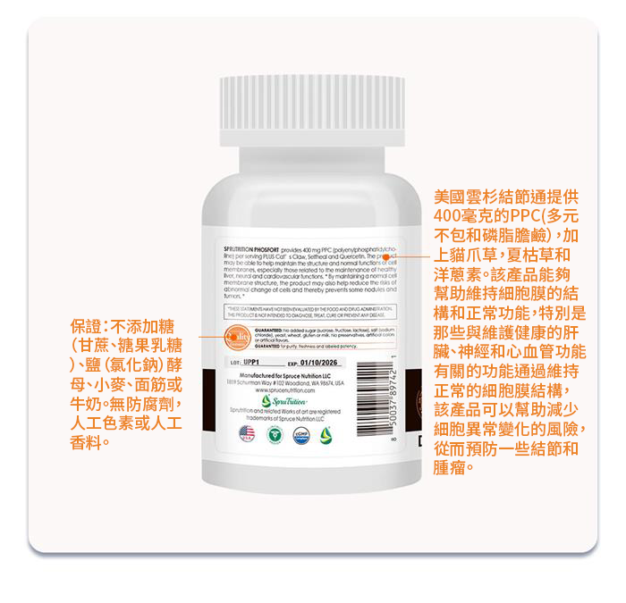 【 Spruce Nutrition 】新一代 小分子 PPC 結節通 四重配方｜PHOSFORT Contains PPC｜30 粒裝（美國原裝行貨）
