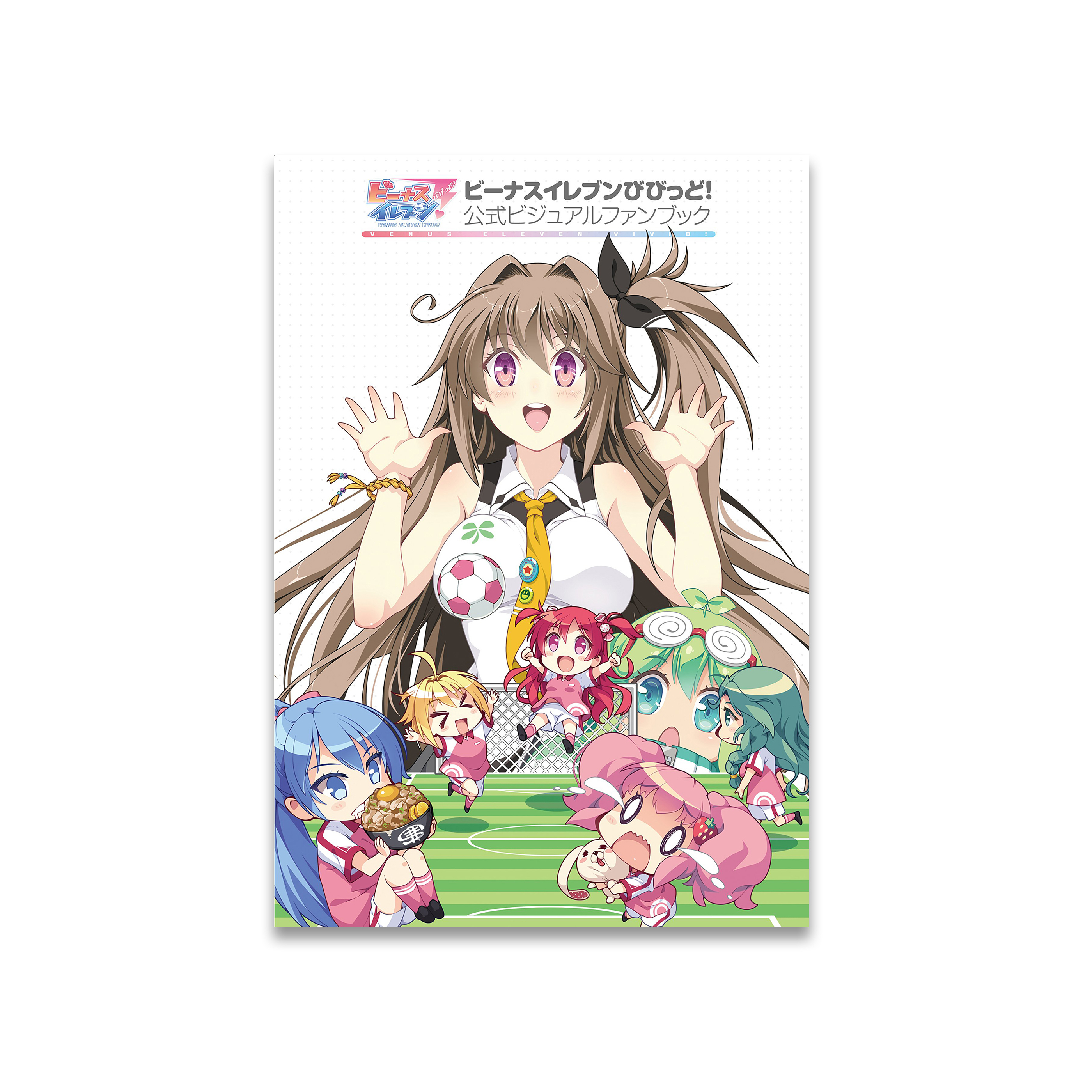 Venus Eleven Vivid！ 公式ビジュアルファンブック