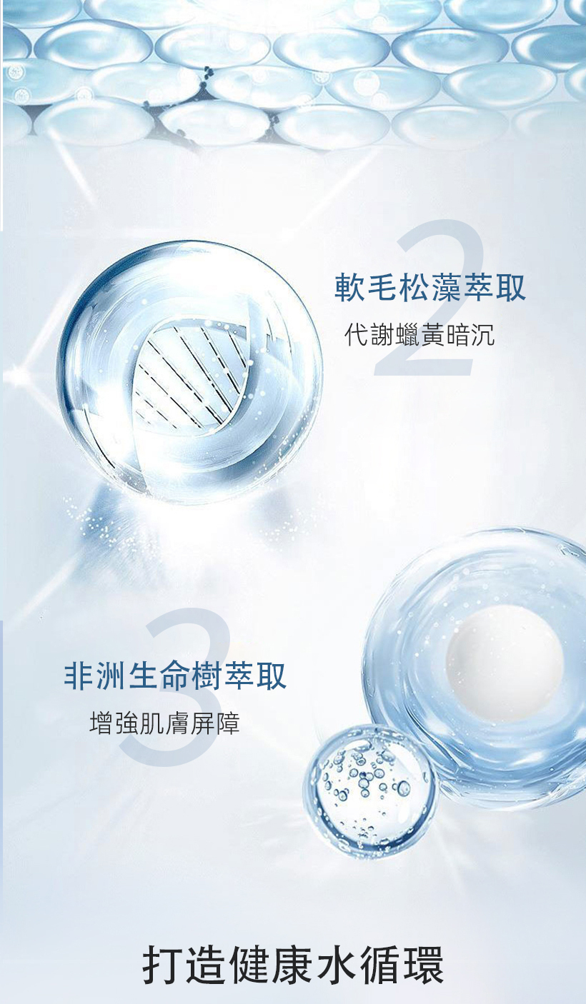 軟毛松藻_非洲麵包樹