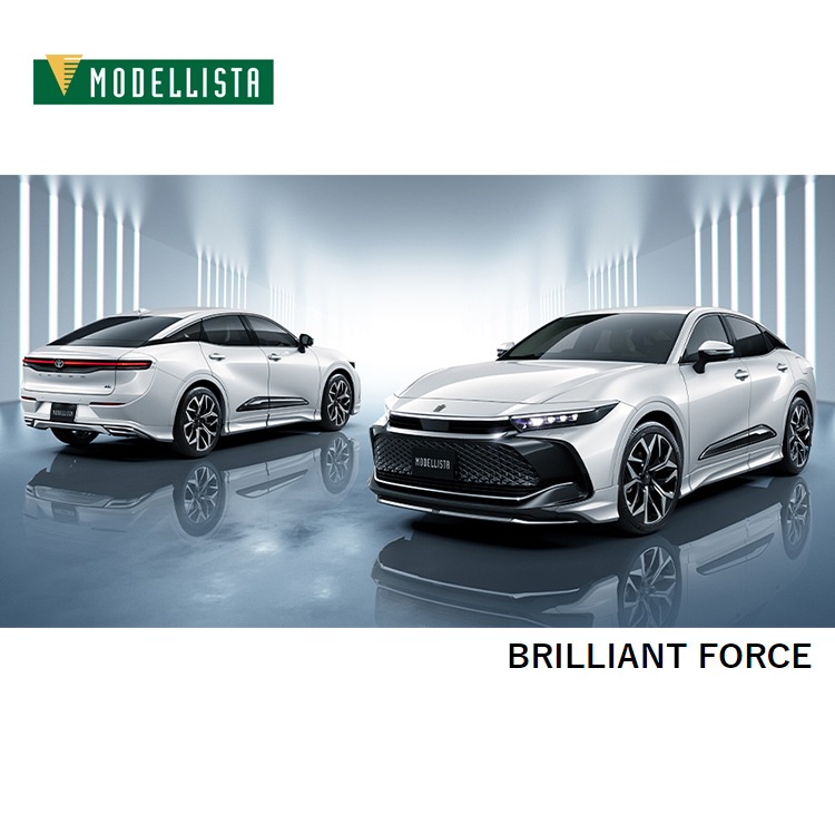 MODELLISTA BRILLIANT FORCE