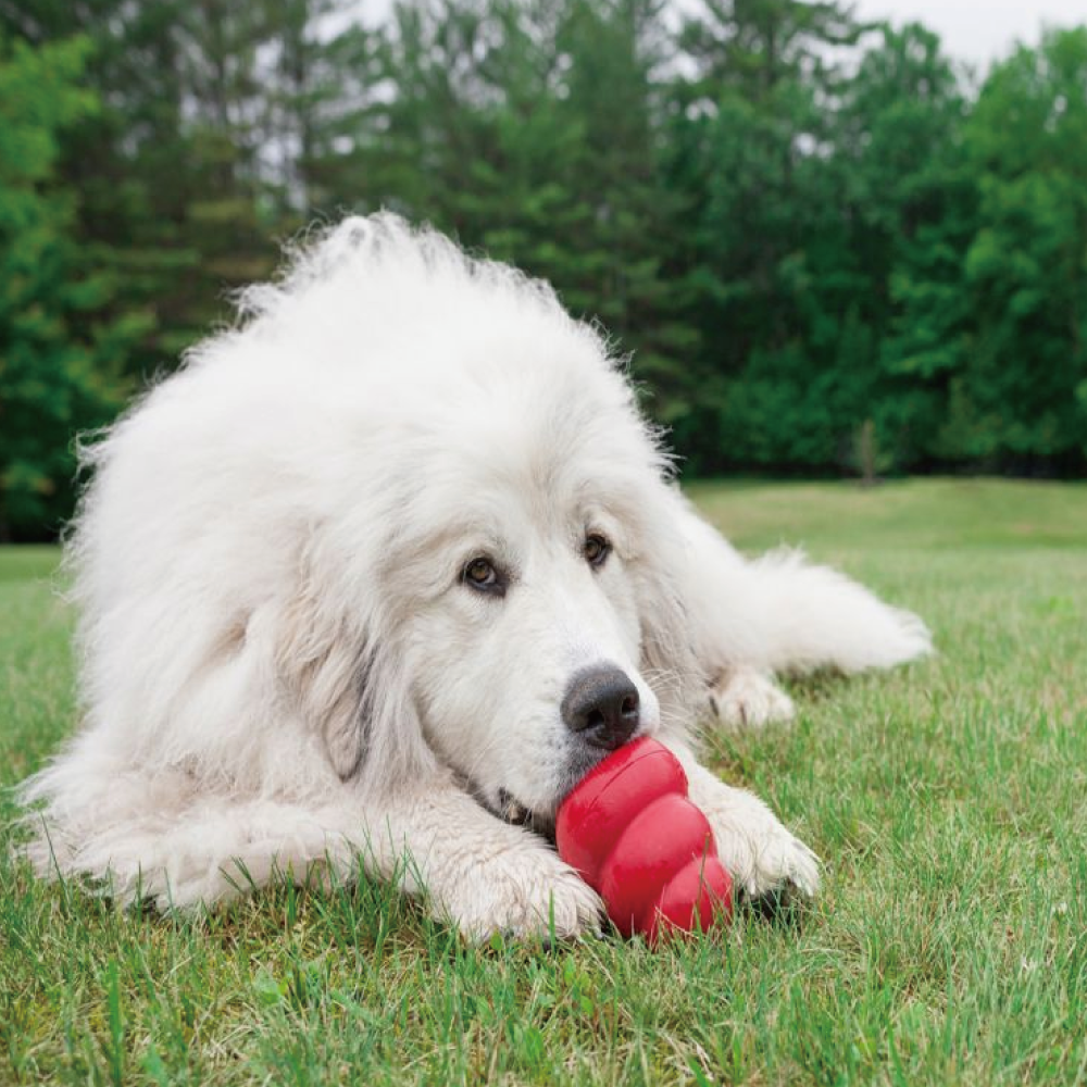KONG | 葫蘆玩具-紅色經典