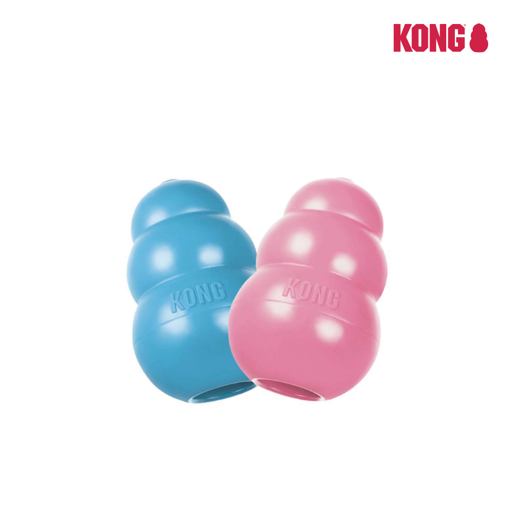 KONG | 葫蘆玩具-粉色/藍色 幼犬