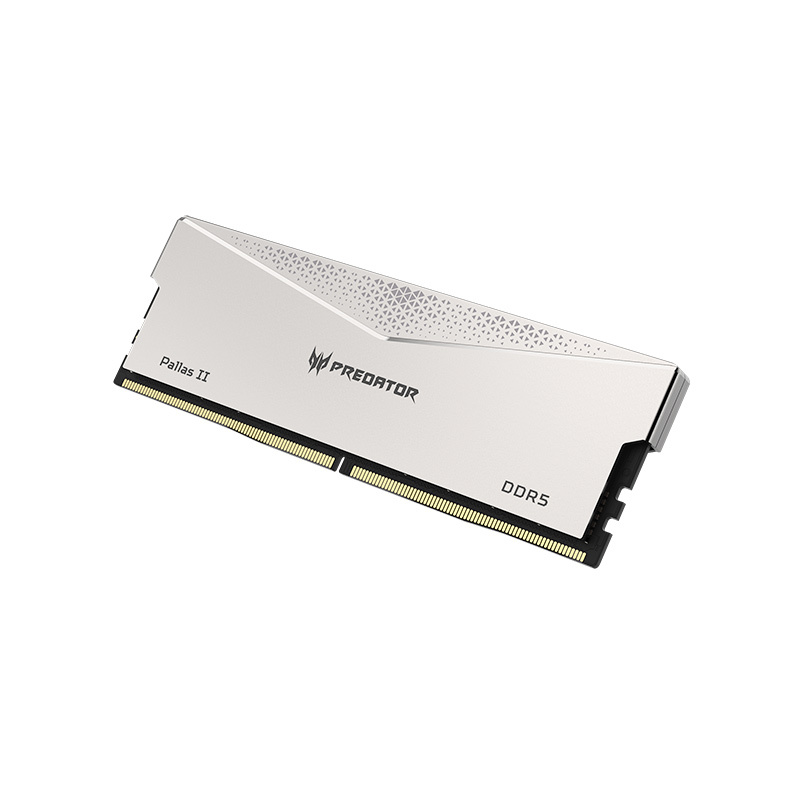 Predator Pallas II DDR5 6000MHz 32 gb 2枚 rectangle_large_type_2_6260165