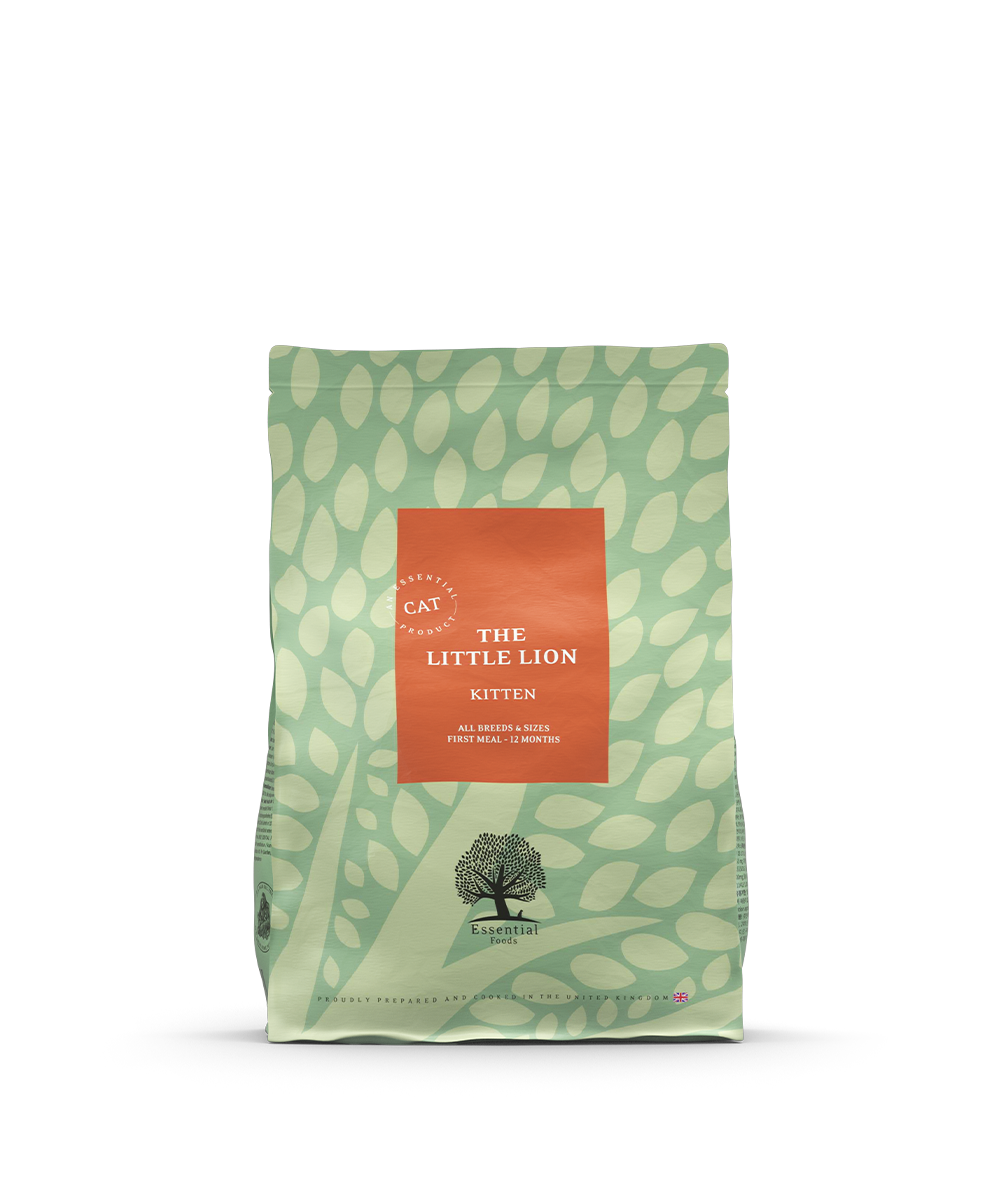 【Essential foods】幼獅 新鮮三文魚和鱒魚無穀物天然糧 1.5KG / 3KG ｜幼貓糧