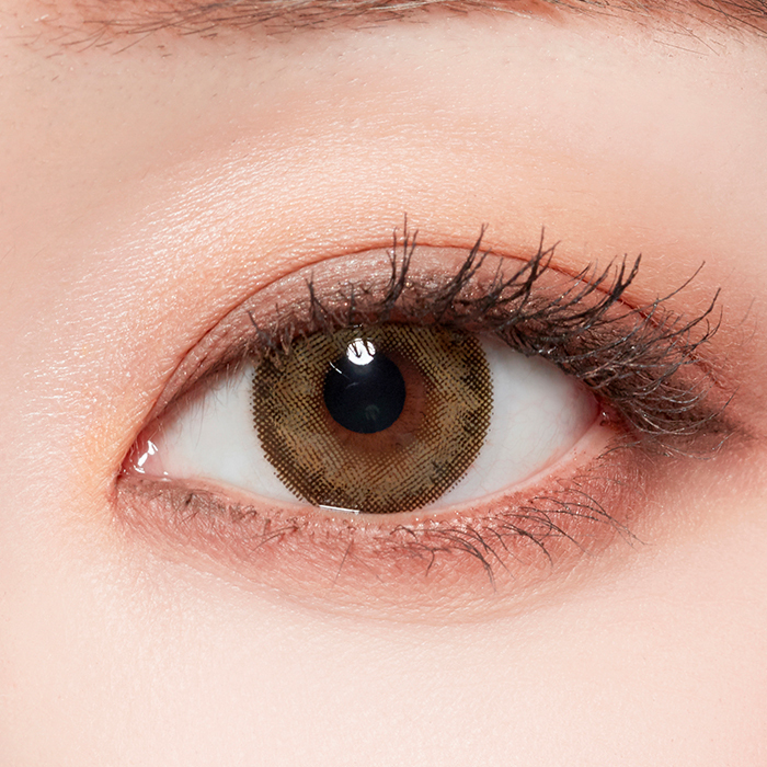 [日拋] Lenstown 247 Bom Brown 1 Day 日拋隱形眼鏡｜每盒10片