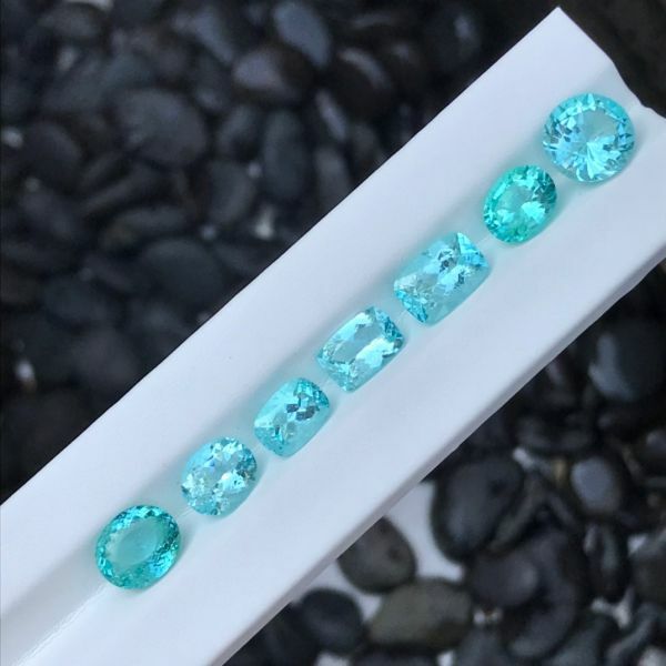 電光藍帕拉依巴