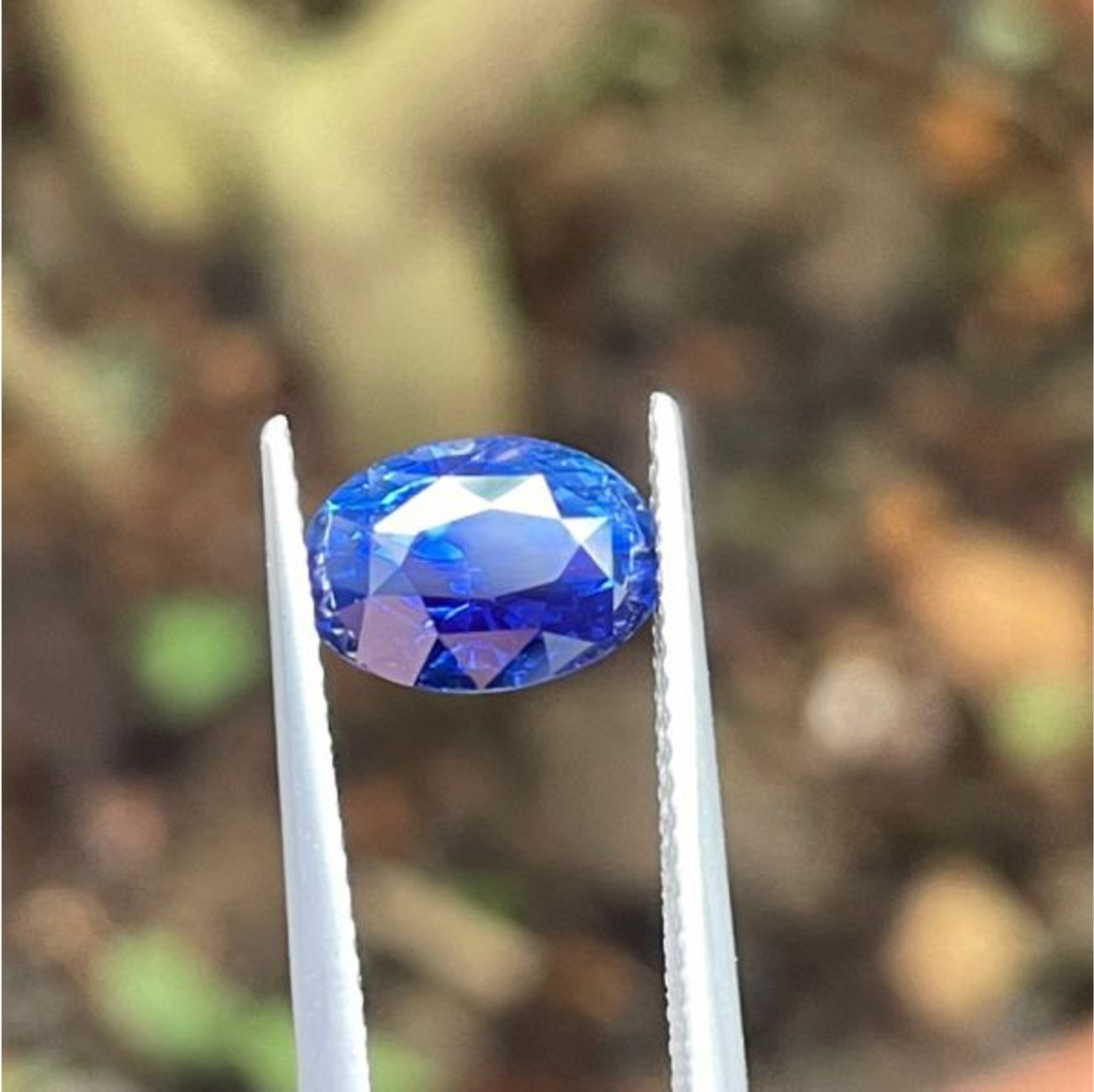 3.11ct無燒皇家藍