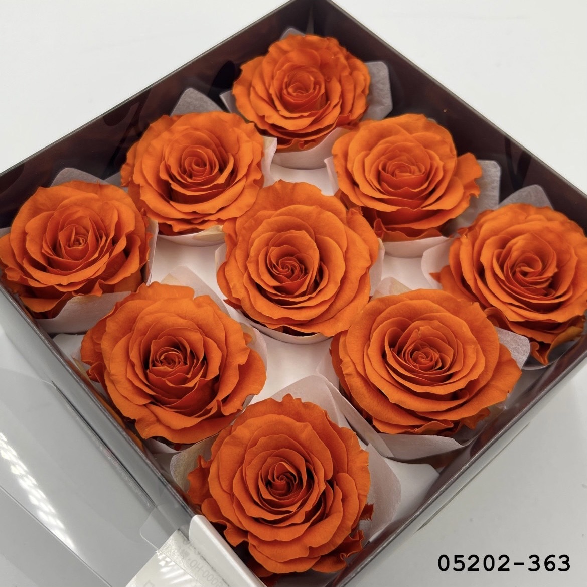 日本不凋大輪玫瑰(M-9朵) 05202-363