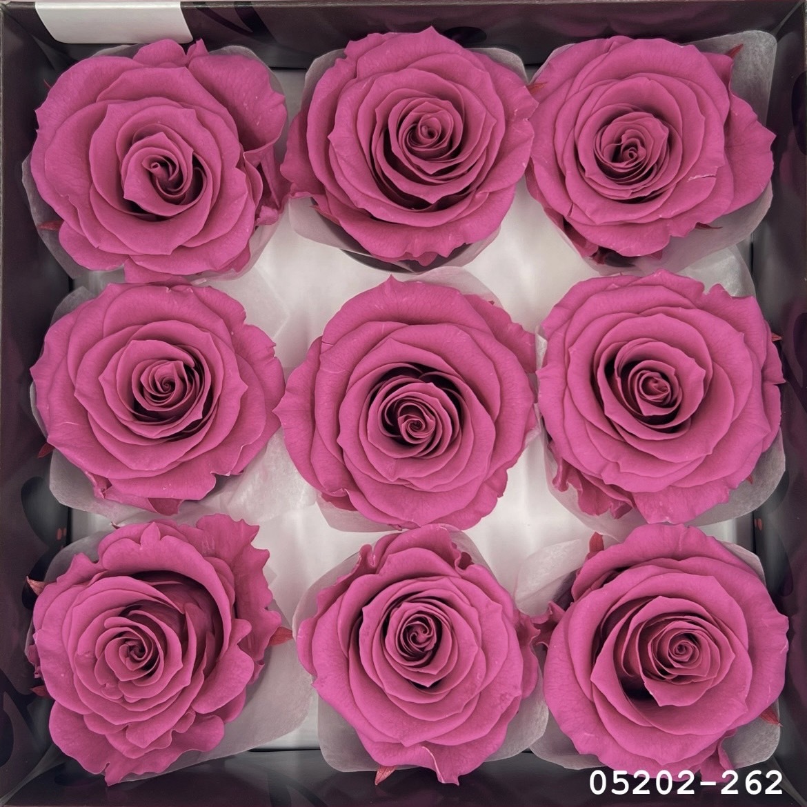 日本不凋大輪玫瑰(M-9朵) 05202-262