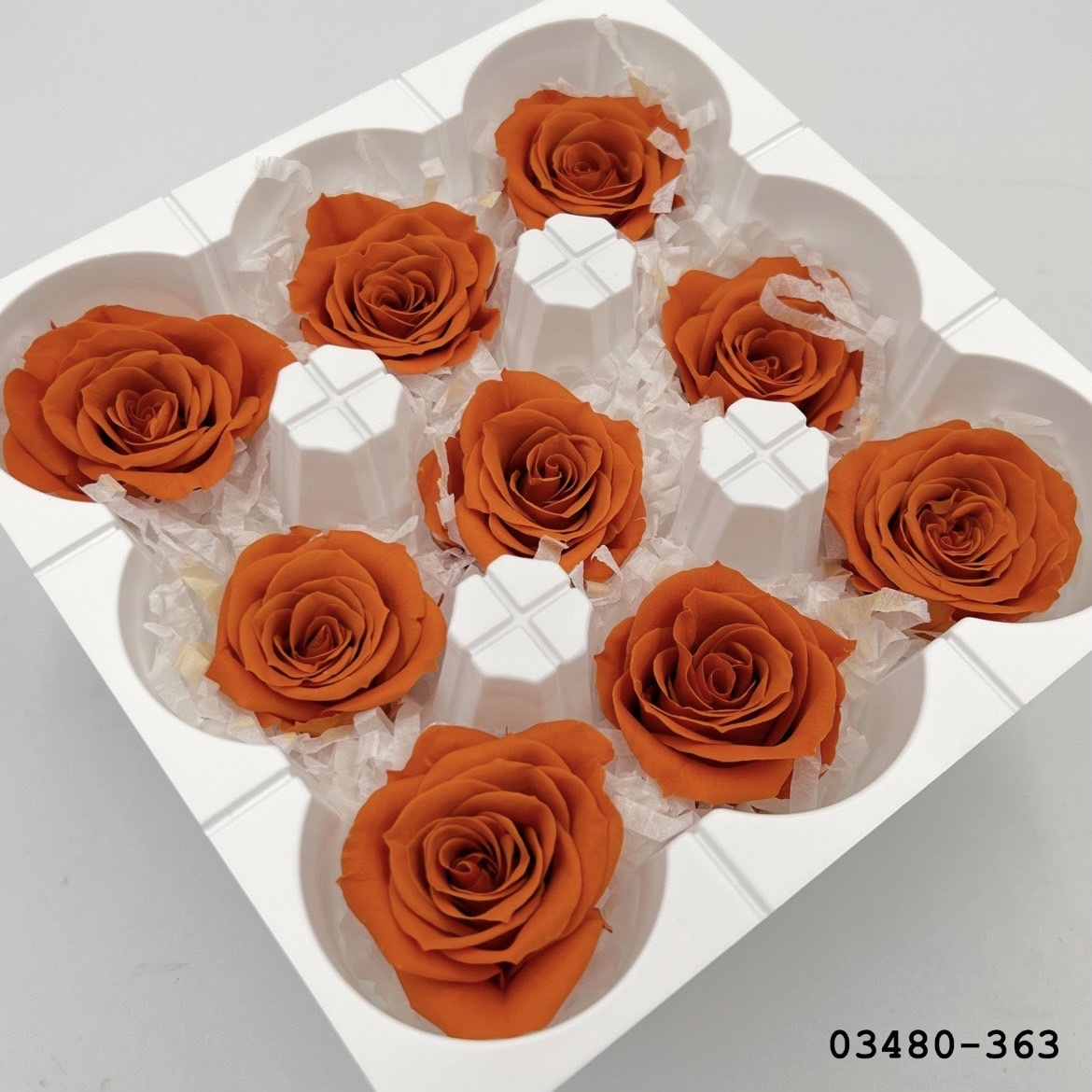 日本不凋中輪玫瑰(9朵) 03480-363