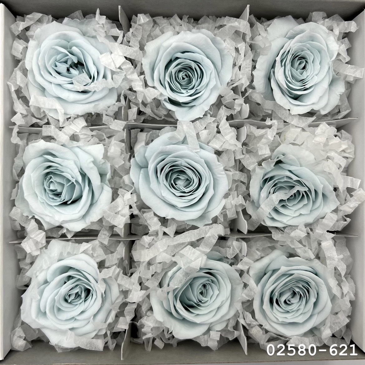 不凋小輪玫瑰(9朵) 02580-621