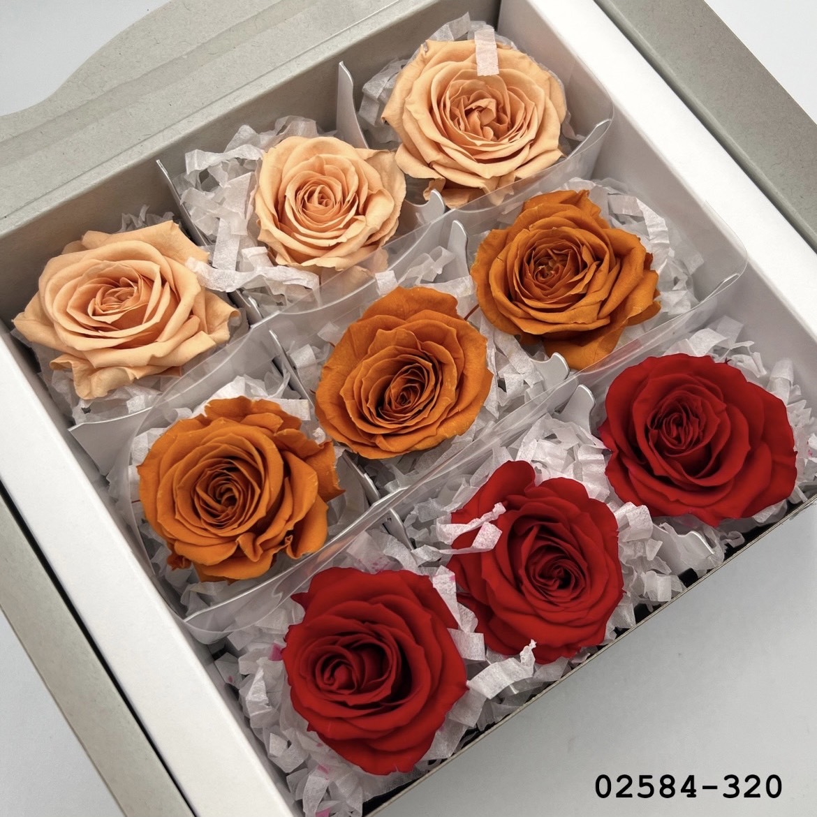 不凋小輪玫瑰(9朵) 02584-320
