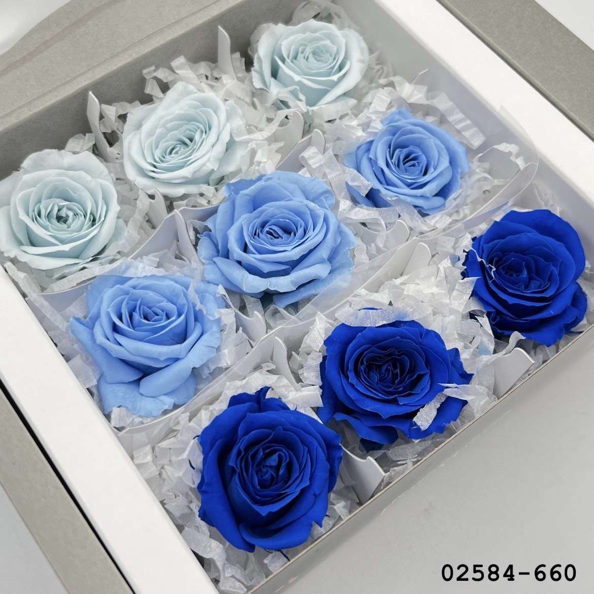 不凋小輪玫瑰(9朵) 02584-660