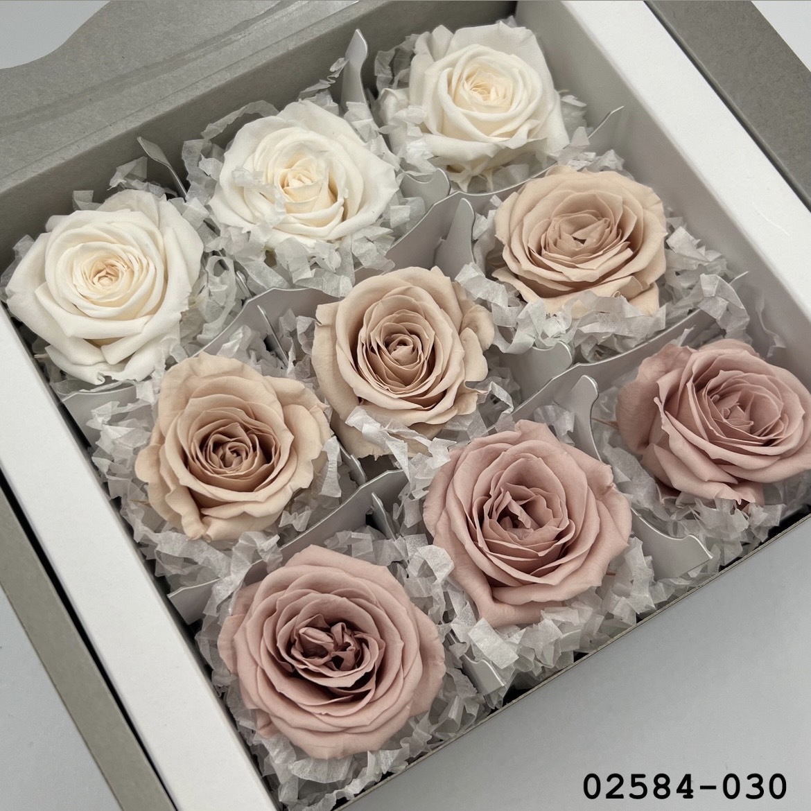 不凋小輪玫瑰(9朵) 02584-030