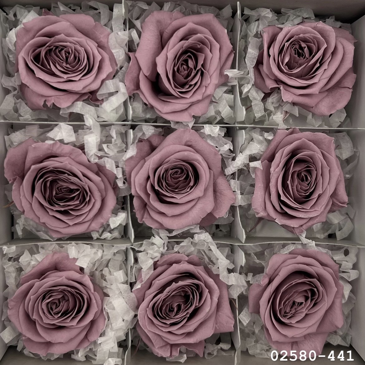 不凋小輪玫瑰(9朵) 02580-441