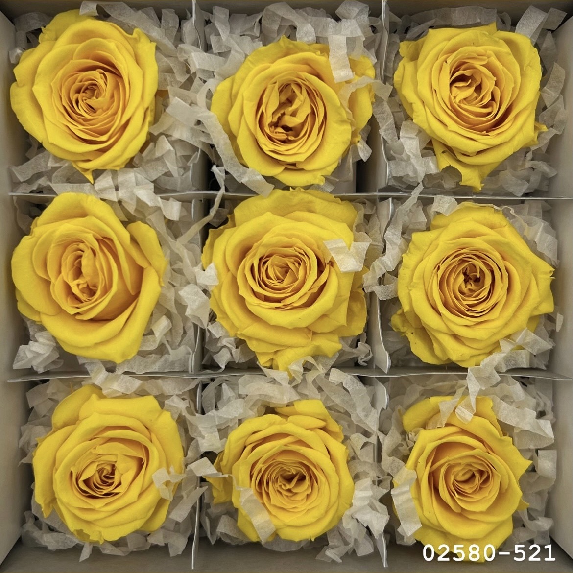 不凋小輪玫瑰(9朵) 02580-521