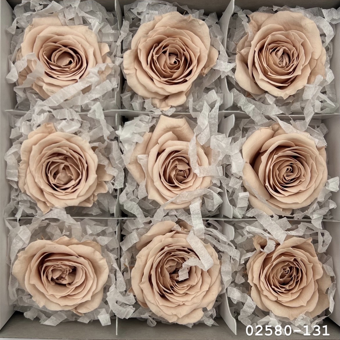 不凋小輪玫瑰(9朵) 02580-131