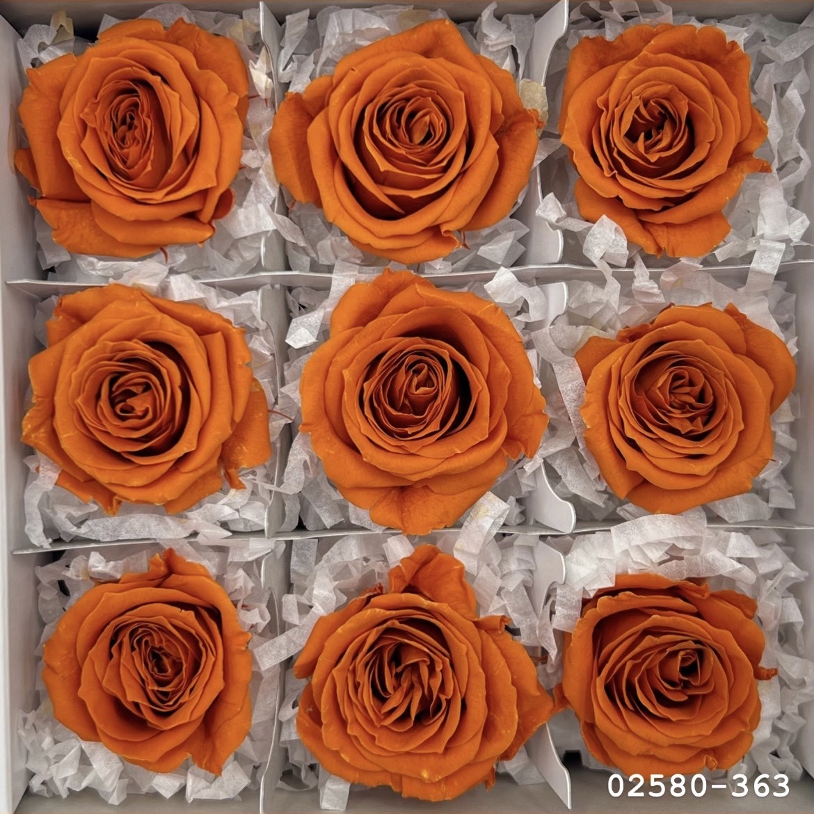 不凋小輪玫瑰(9朵) 02580-363