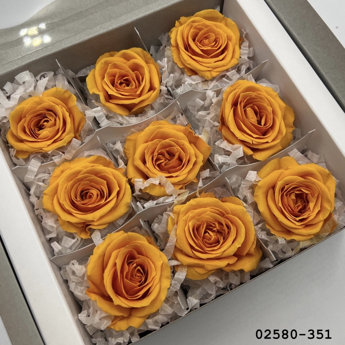 不凋小輪玫瑰(9朵) 02580-351