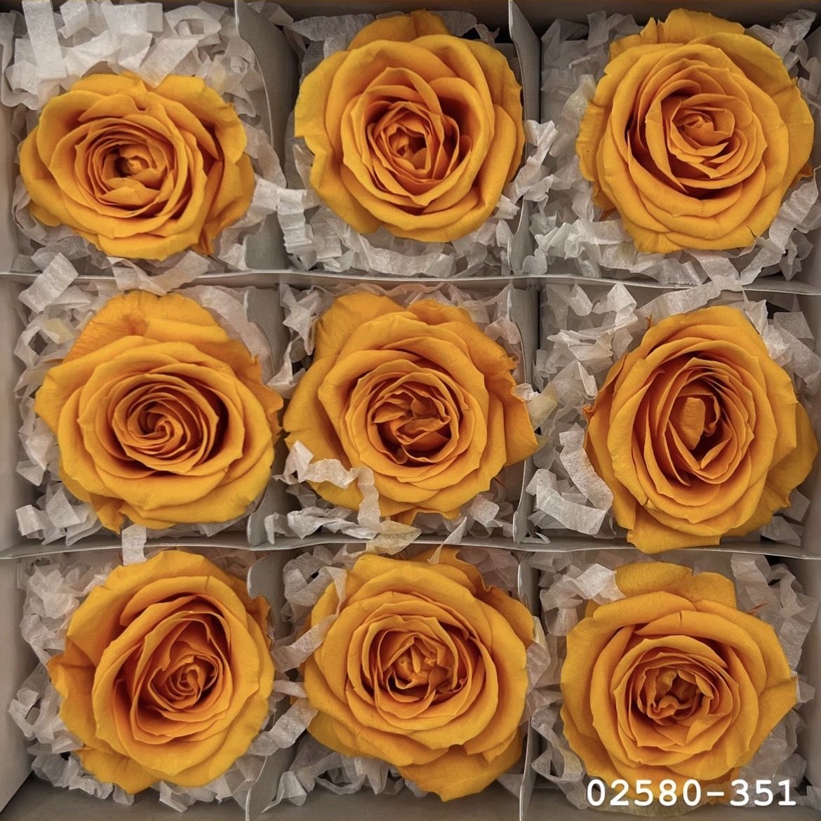 不凋小輪玫瑰(9朵) 02580-351