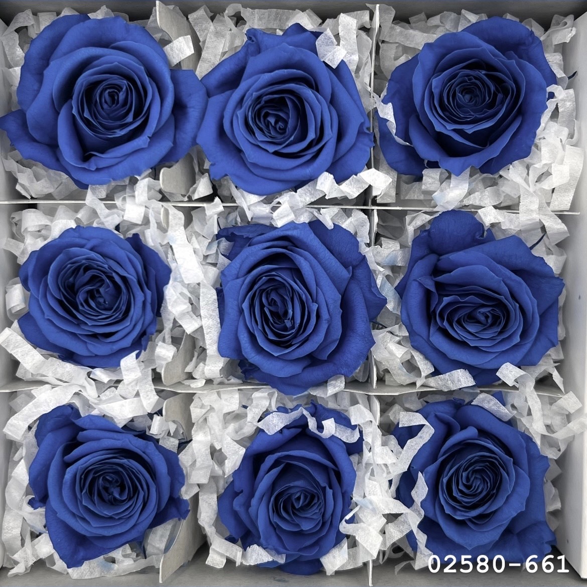 不凋小輪玫瑰(9朵) 02580-661