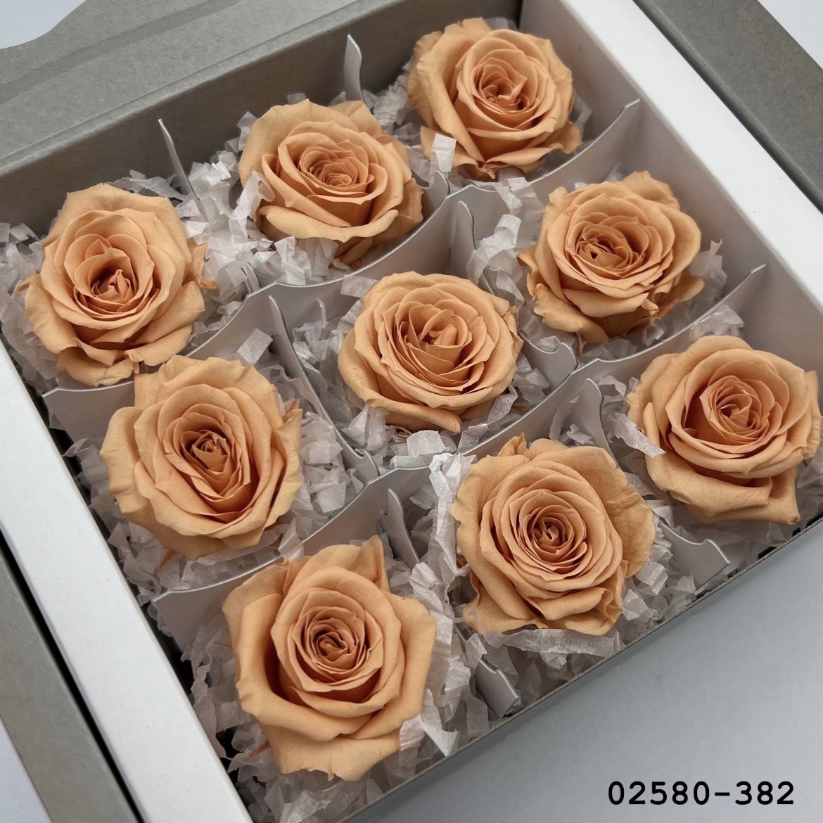 不凋小輪玫瑰(9朵) 02580-382