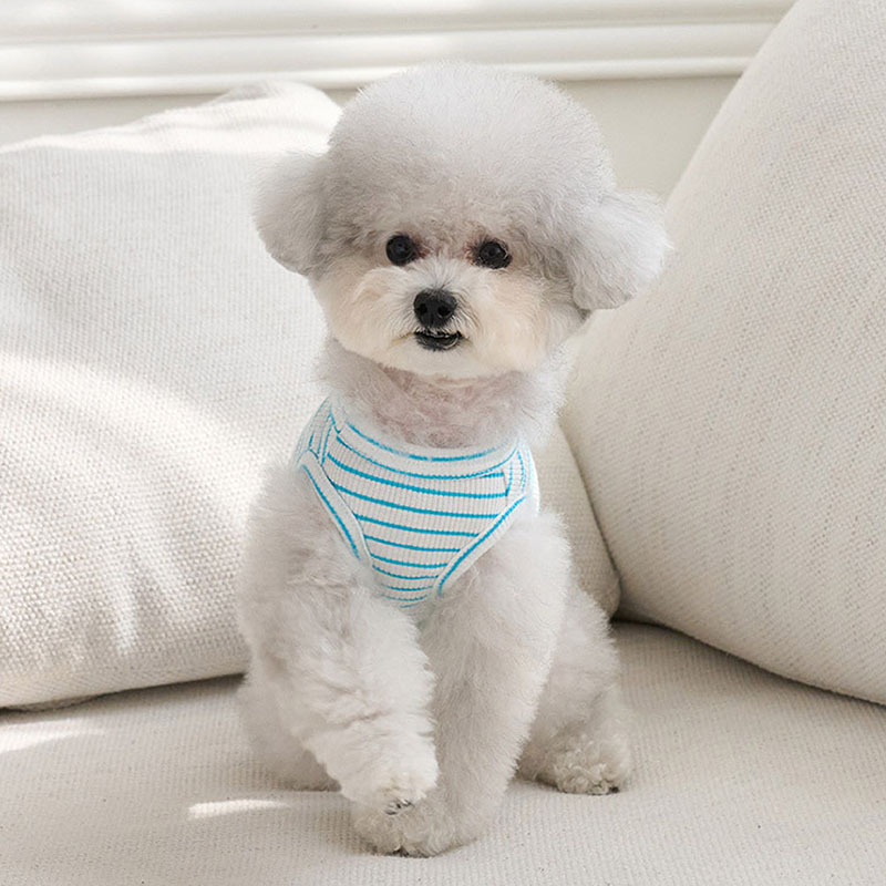 陽光條紋舒適棉Ｔ (藍) - it’s sunny outside