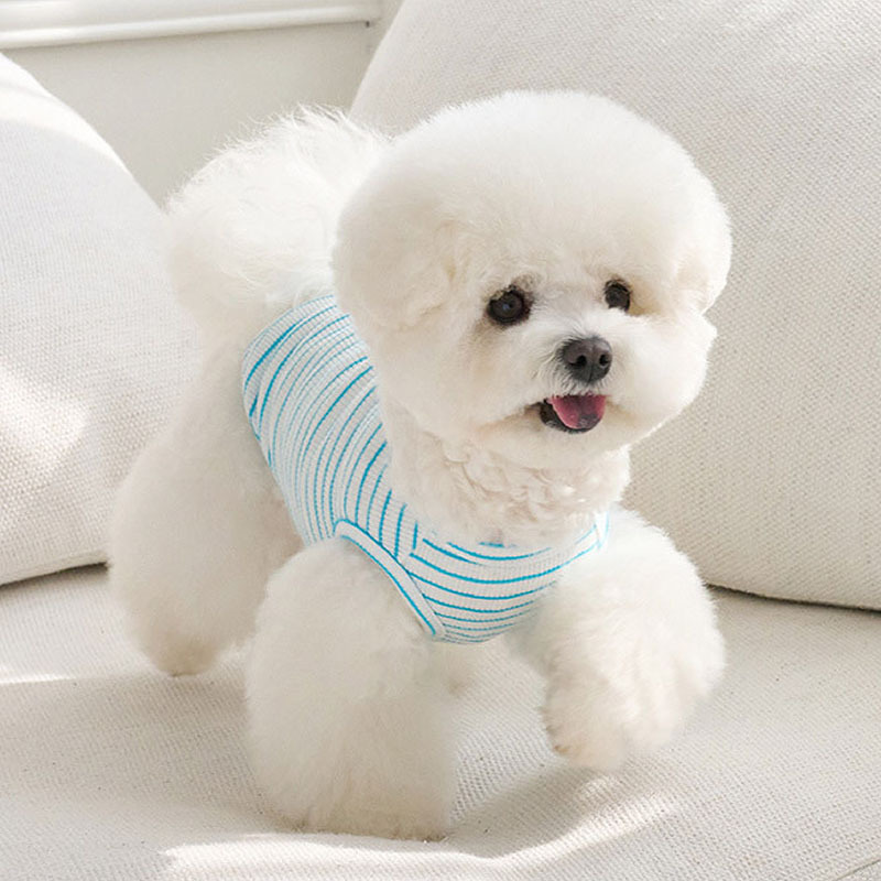 陽光條紋舒適棉Ｔ (藍) - it’s sunny outside