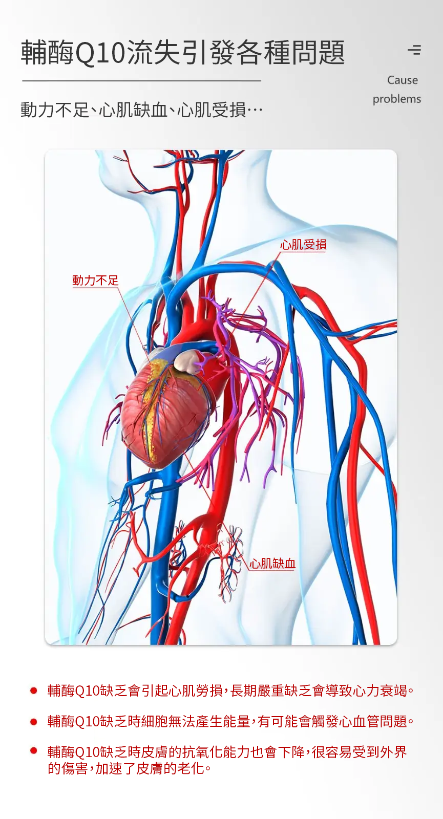 【 Spruce Nutrition 】Q10 + PQQ 四重配方 強心核素｜30 粒裝（美國原裝行貨）