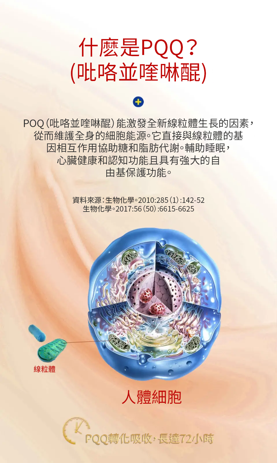 【 Spruce Nutrition 】Q10 + PQQ 四重配方 強心核素｜30 粒裝（美國原裝行貨）