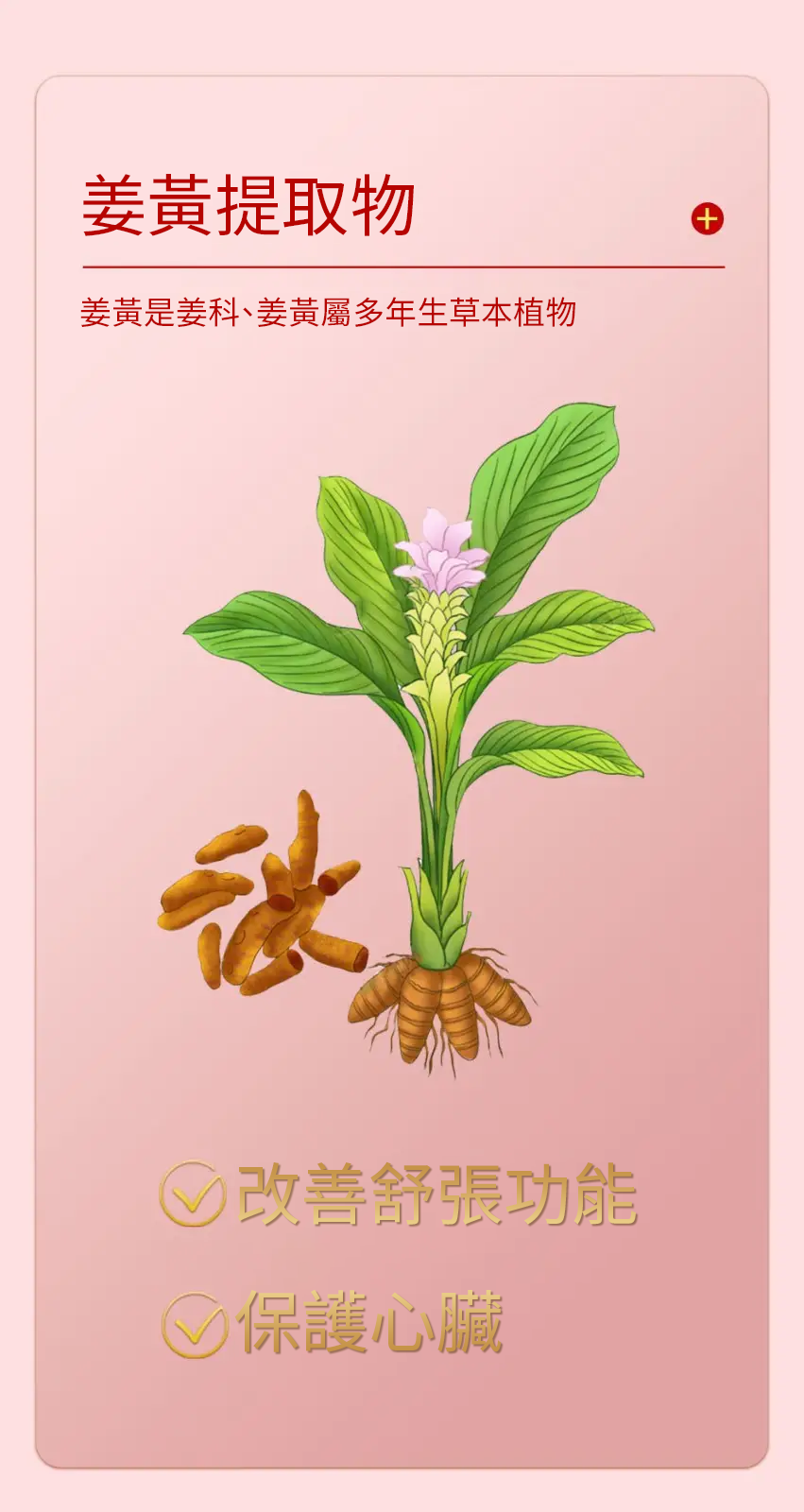 【 Spruce Nutrition 】Q10 + PQQ 四重配方 強心核素｜30 粒裝（美國原裝行貨）