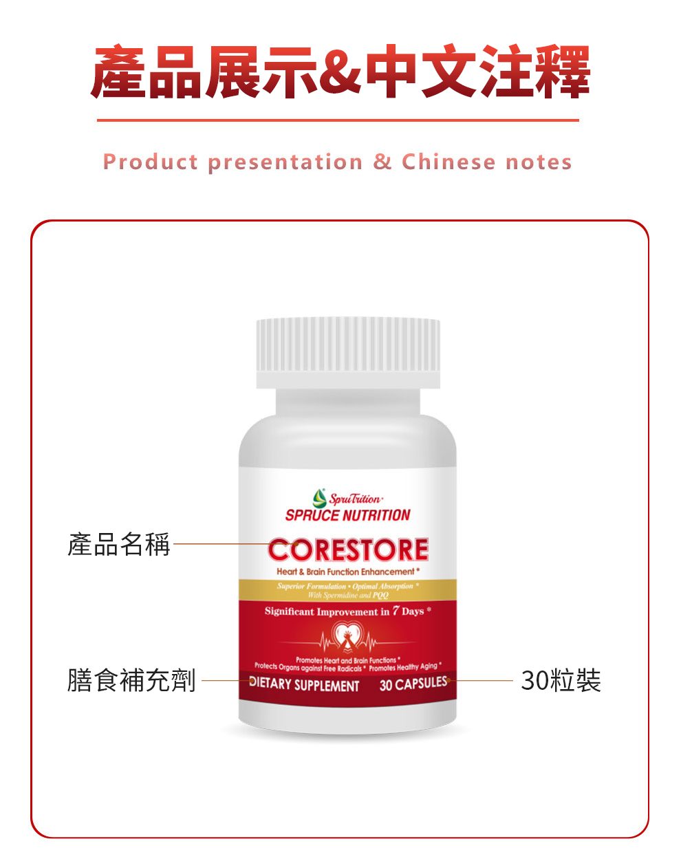 【 Spruce Nutrition 】Q10 + PQQ 四重配方 強心核素｜30 粒裝（美國原裝行貨）