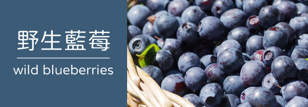 野生藍莓【天時莓果TimesBerries官網】
