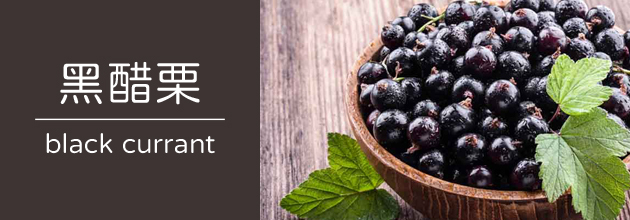 黑醋栗【天時莓果TimesBerries官網】