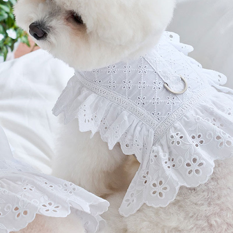 Angel 天使夏季胸背帶＋牽繩 (白) - It’s sunny outside