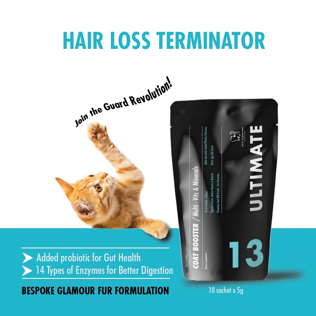 Cat vitamins clearance for hair loss