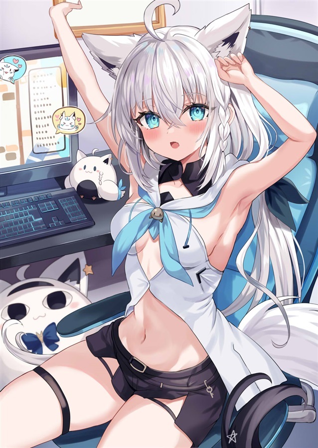 C102「同人代購」のりしを - SUKOFANBOOK3