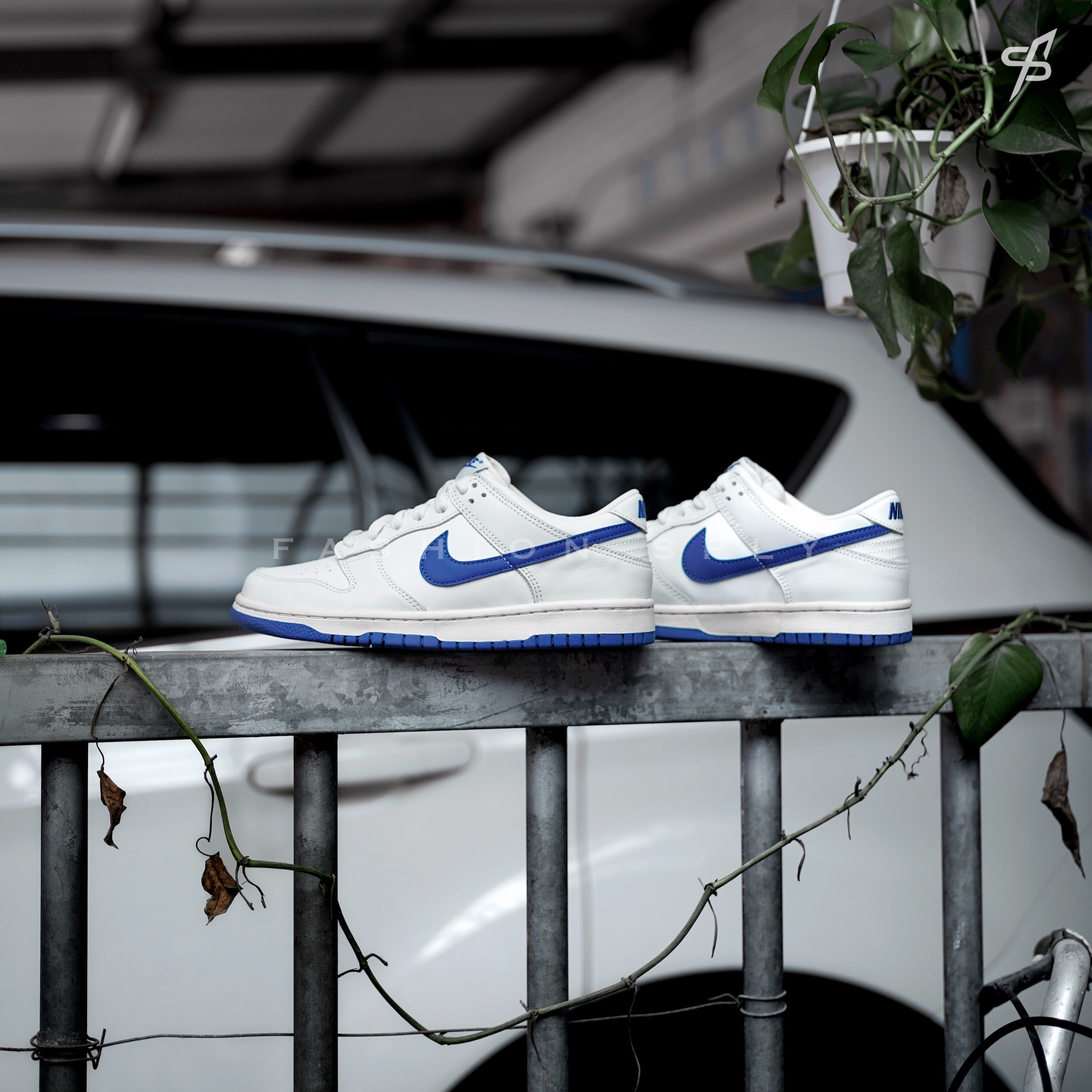 Nike Dunk Low 海鹽牛奶 GS DH9765-105