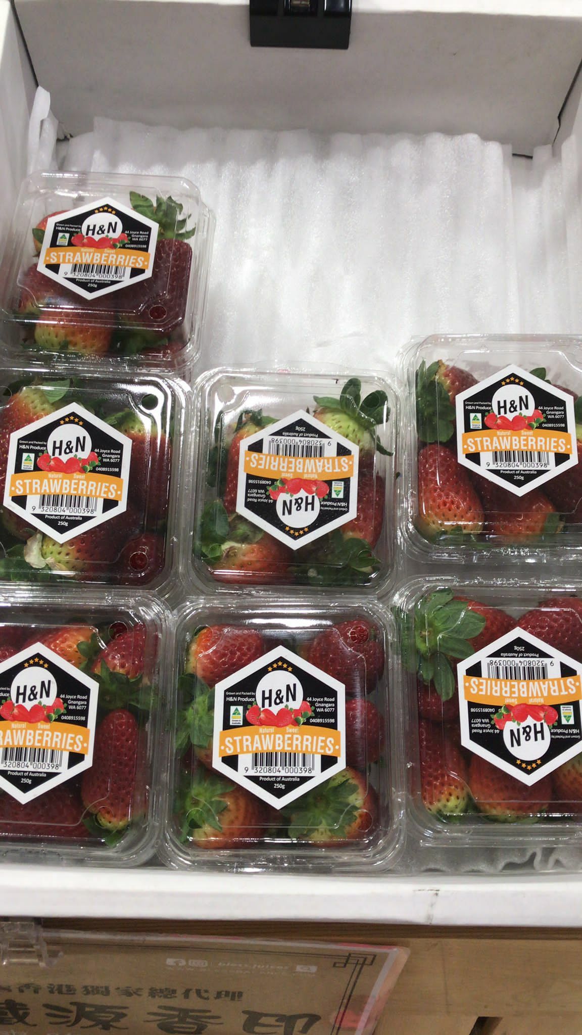 Bless-fruit-澳洲士多啤梨