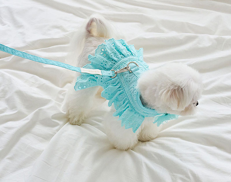 Angel 天使夏季胸背帶＋牽繩 (蒂芬尼藍) - It’s sunny outside