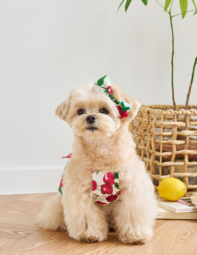 髮夾-櫻桃🍒 - 髮夾髮飾-It’s sunny outside