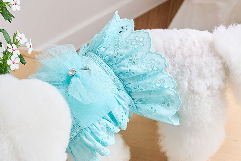 天使絲帶胸針 (蒂芬尼藍 蝴蝶結)  - It’s sunny outside