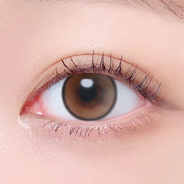 LensTown Beloved Monthly(Royal Brown)